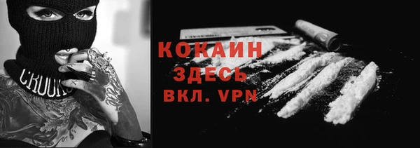 гидра Липки