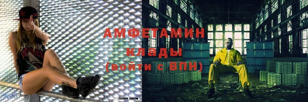 гидра Липки