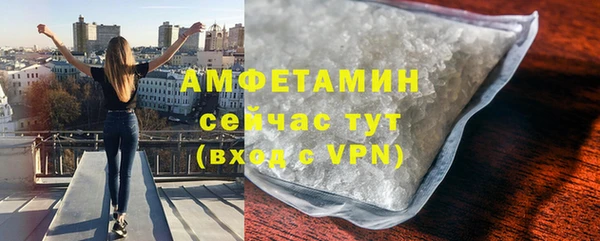 гидра Липки