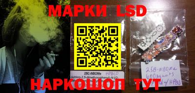 шишки Гусиноозёрск