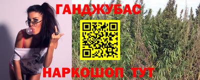 a pvp Гусев