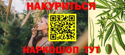 шишки Гусиноозёрск