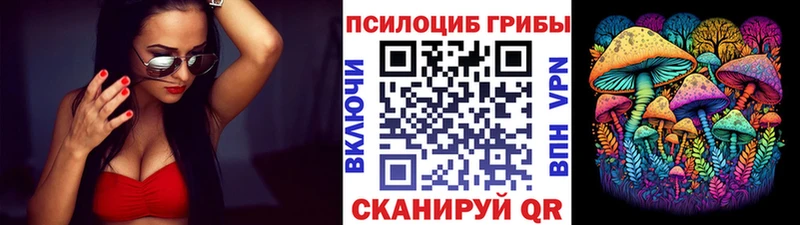 где найти наркотики  Морозовск  МЕГА ссылки  Псилоцибиновые грибы мухоморы 