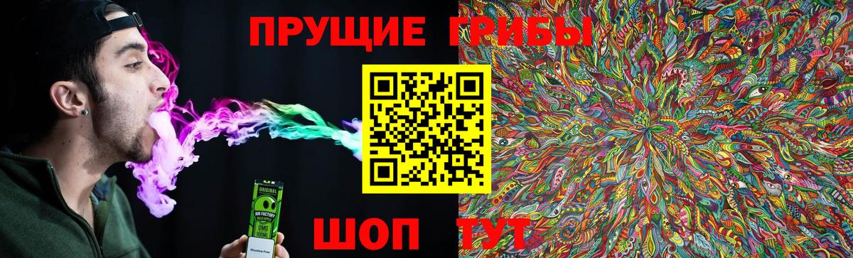 Галлюциногенные грибы Psilocybine cubensis Морозовск