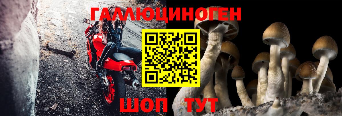 Морозовск  Псилоцибиновые грибы прущие грибы  Псилоцибиновые грибы мицелий  закладка  Вход с VPN 