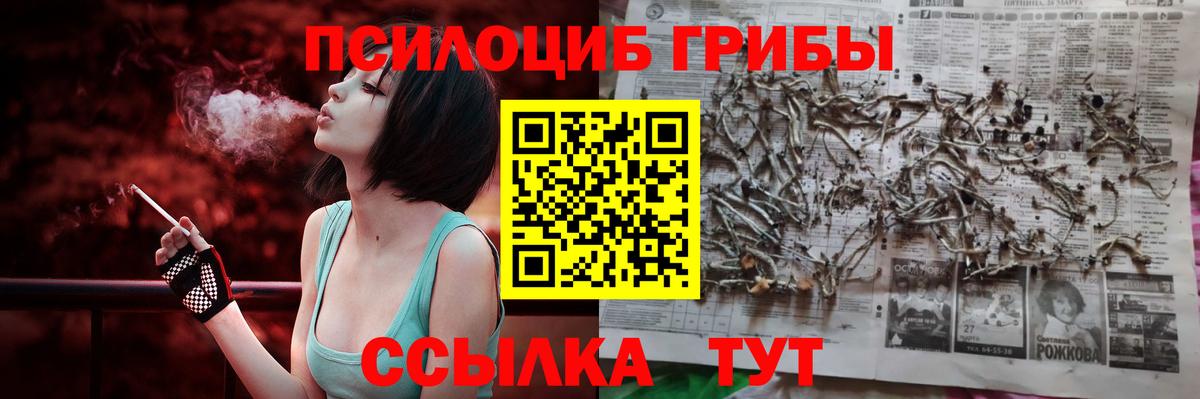 Псилоцибиновые грибы прущие грибы  Морозовск 